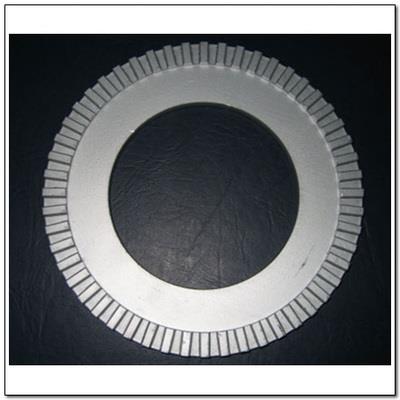 Ssang Yong 4894105001X Ring ABS 4894105001X