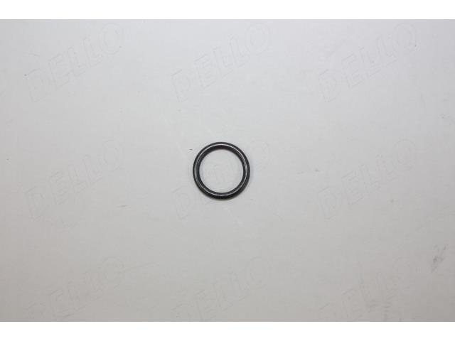 AutoMega 190019620 Ring sealing 190019620