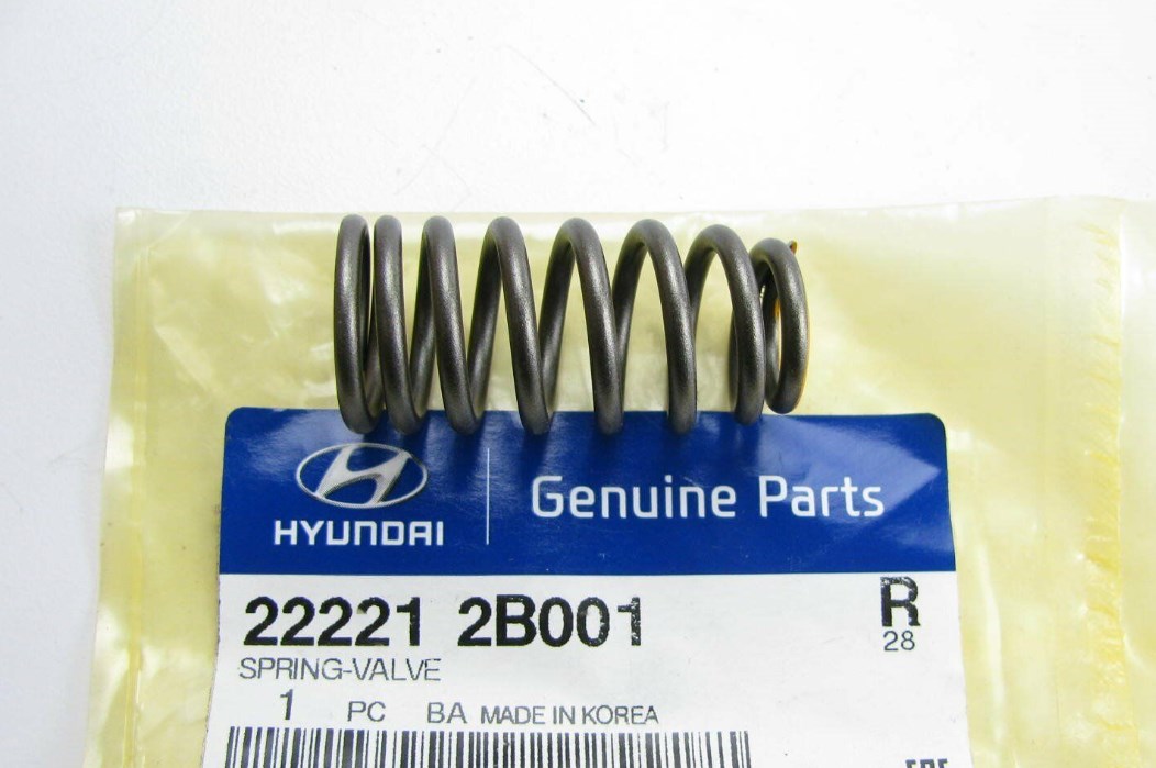 222212B001 Hyundai/Kia Valve spring