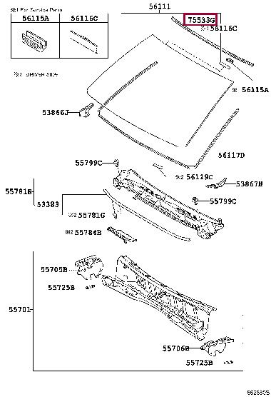 7553160060 Toyota Weatherstrip