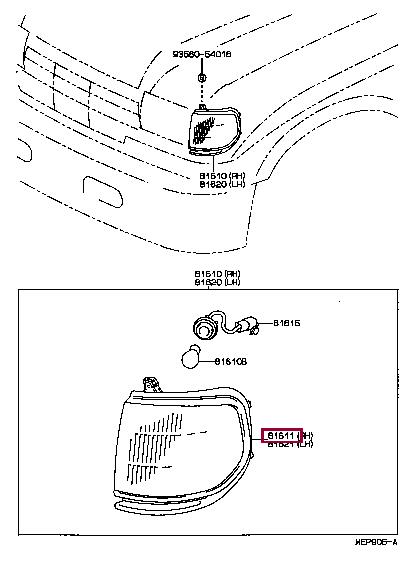 8161160083 Toyota Indicator light