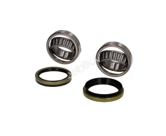 Ashika 44-13001 Wheel bearing kit 4413001