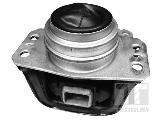 TedGum 00515791 Engine mount bracket 00515791