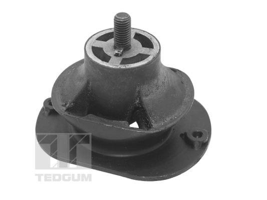 Engine support mount Iveco: TED40521 TedGum Suspension
