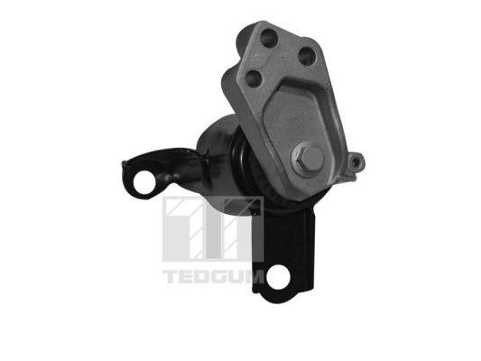 00228507 TedGum Suspension
