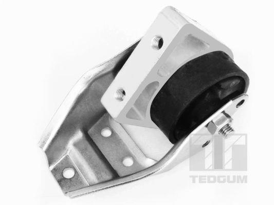 TedGum 01008480 Suspension 01008480 01008480 TedGum Suspension