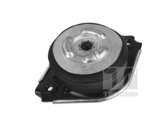 TedGum 00418536 Suspension 00418536 00418536 TedGum Suspension