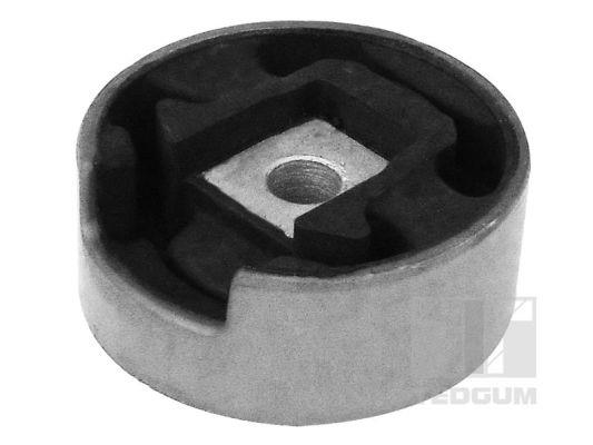 00728427 TedGum Suspension