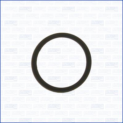 Termostat gasket Ajusa 00757500