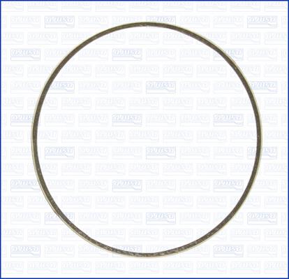 Exhaust pipe gasket Ajusa 19004600