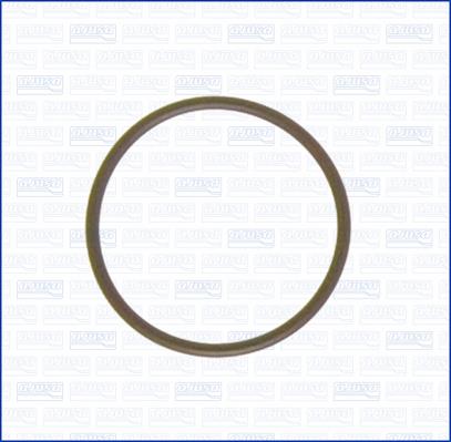 16019300 Ajusa Intake manifold gasket