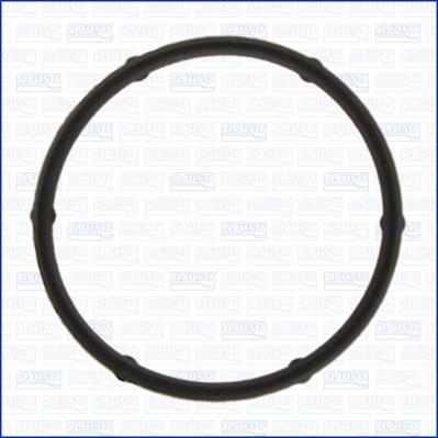 Termostat gasket Ajusa 01055400