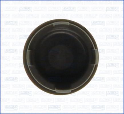 00794900 Ajusa Camshaft plug