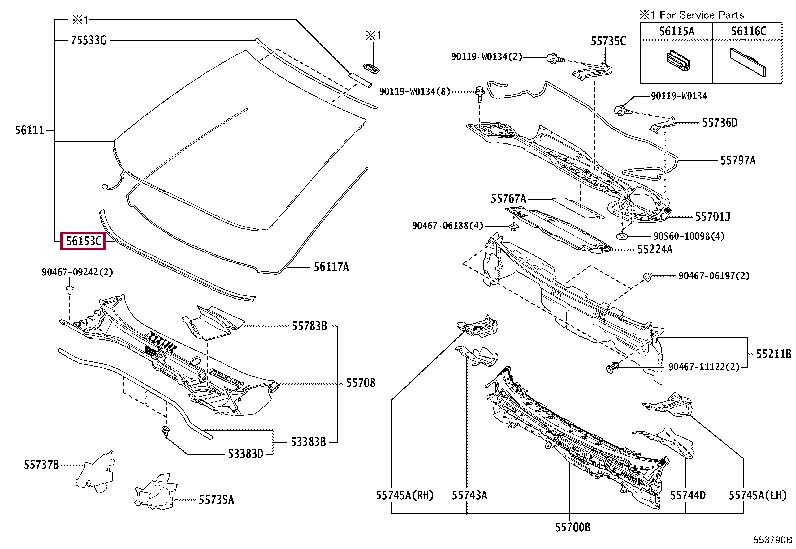 5615310010 Toyota Molding
