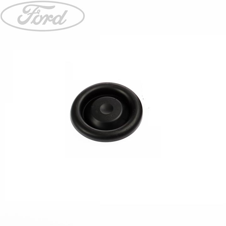 1060464 Ford Plug