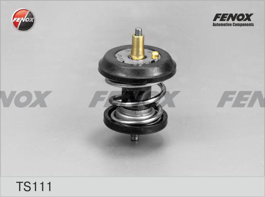 Fenox TS111 Thermostat, coolant TS111