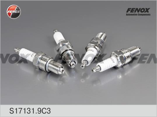 Fenox S17131.9C3 Spark plug S171319C3