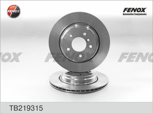 Fenox TB219315 Rear ventilated brake disc TB219315