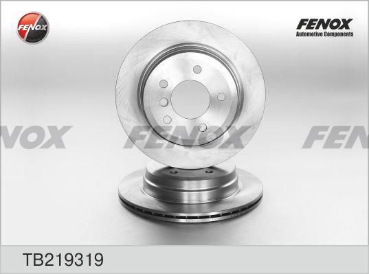 Fenox TB219319 Rear ventilated brake disc TB219319