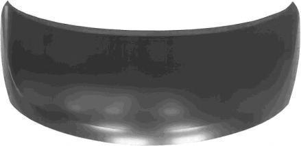 Car hood Hyundai: 664004H010 Hyundai/Kia Hood