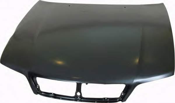 F510043UCM Nissan Hood