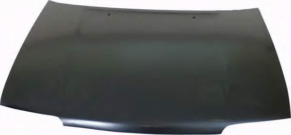 F510062CCM Nissan Hood