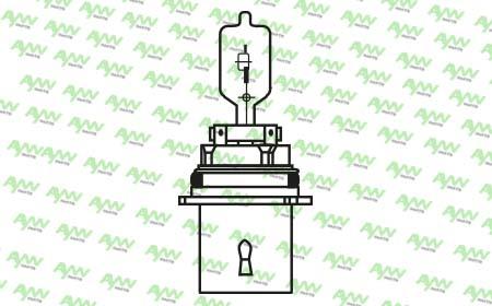 Aywiparts AW1910063Y Halogen lamp 12V AW1910063Y