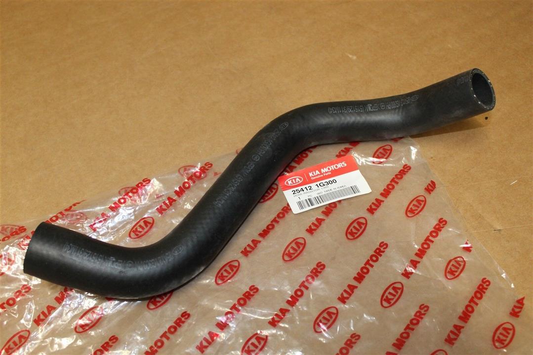 Coolant tube KIA Rio (Kia Rio): 254121G300 Hyundai/Kia Coolant hose