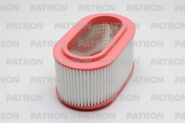 Patron PF1979 Air filter PF1979