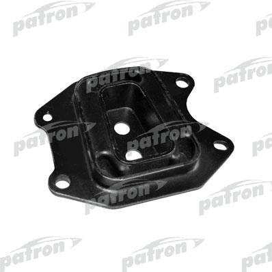 Patron PSE30166 Mounting, differential PSE30166