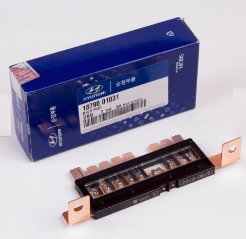 1879001031 Hyundai/Kia Fuse box