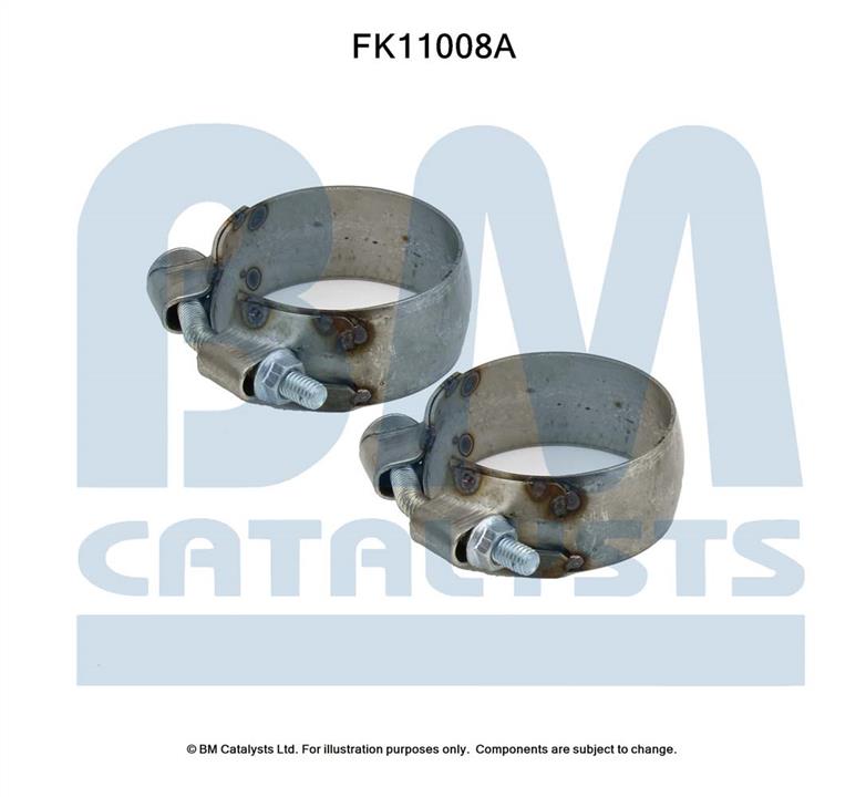 BM Catalysts FK11008 Diesel particulate filter DPF FK11008