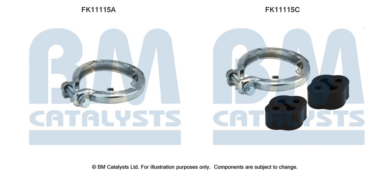 BM Catalysts FK11115 Diesel particulate filter DPF FK11115