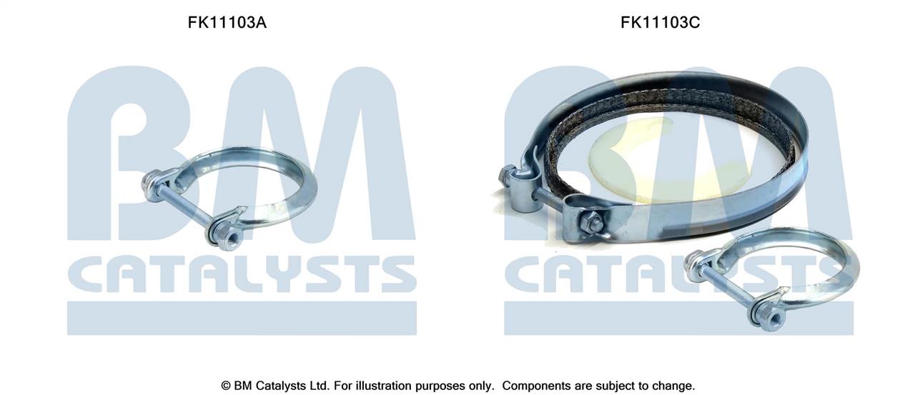 BM Catalysts FK11103 Diesel particulate filter DPF FK11103