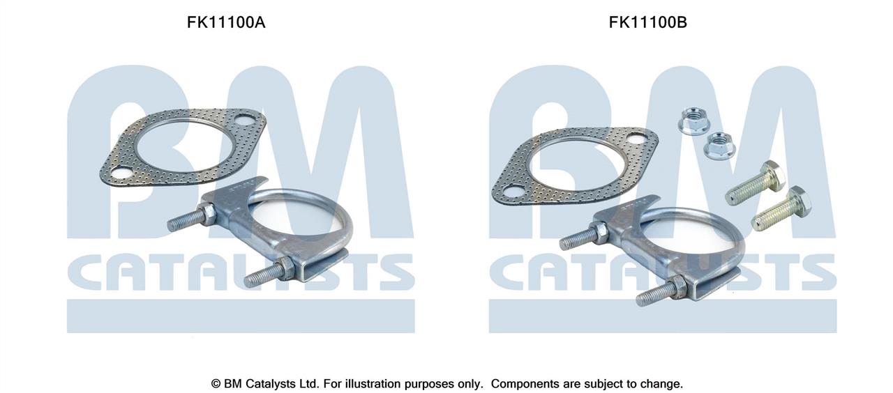 BM Catalysts FK11100 Diesel particulate filter DPF FK11100