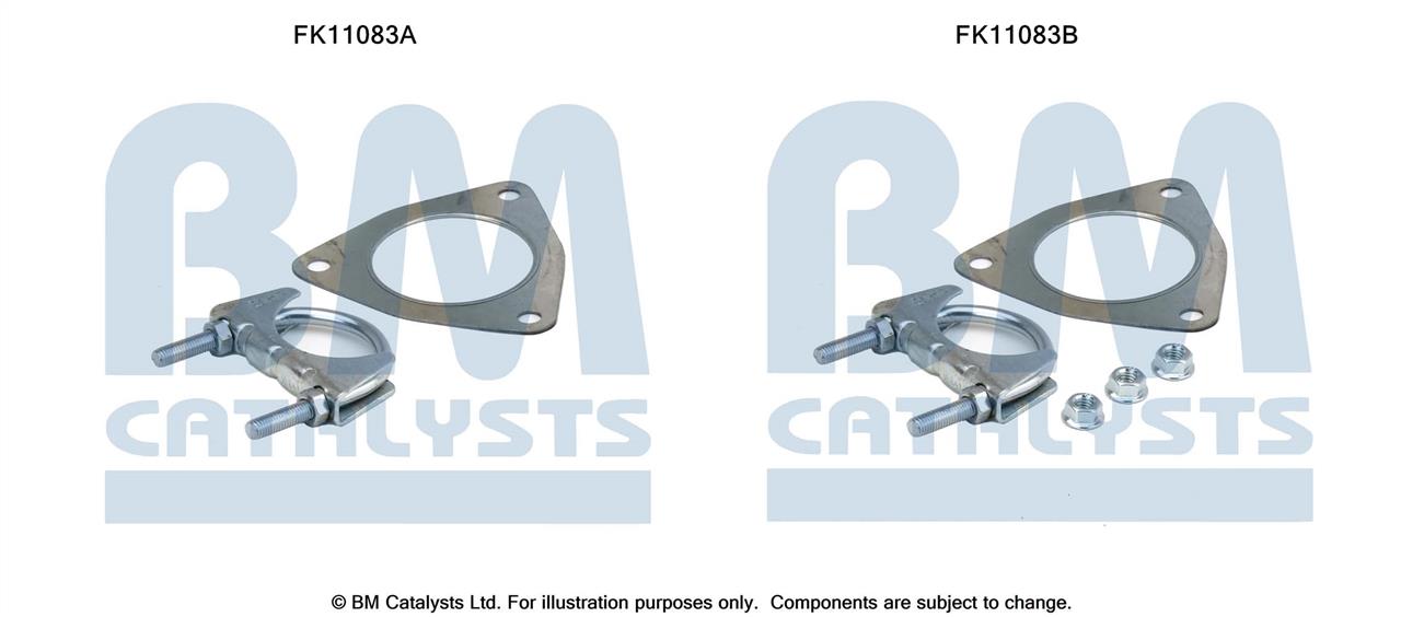 BM Catalysts FK11083 Diesel particulate filter DPF FK11083