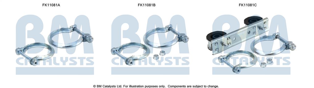 BM Catalysts FK11081 Diesel particulate filter DPF FK11081