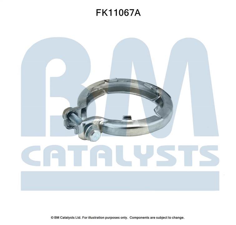 BM Catalysts FK11067 Diesel particulate filter DPF FK11067