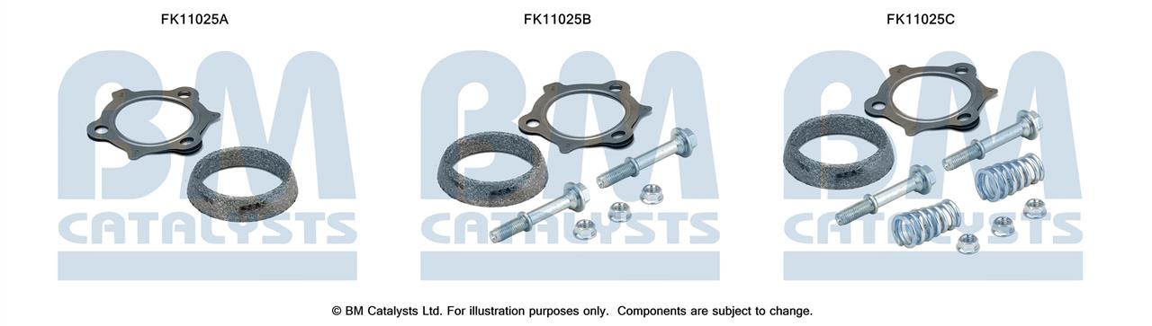 BM Catalysts FK11025 Diesel particulate filter DPF FK11025