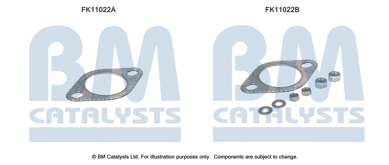 BM Catalysts FK11022 Diesel particulate filter DPF FK11022