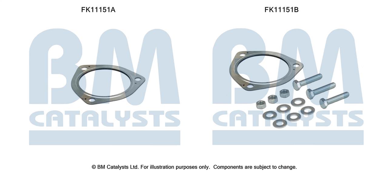 BM Catalysts FK11151 Diesel particulate filter DPF FK11151