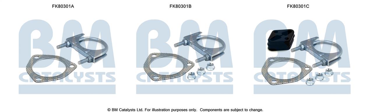 BM Catalysts FK80301 Mounting kit FK80301