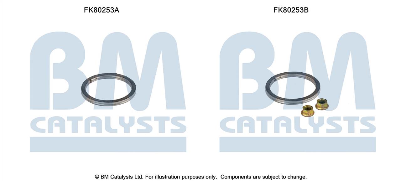 BM Catalysts FK80253 Mounting Kit, catalytic converter FK80253