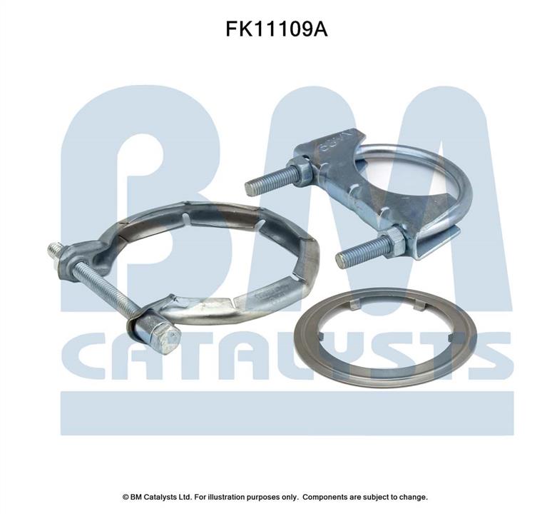 BM Catalysts FK11109 Diesel particulate filter DPF FK11109