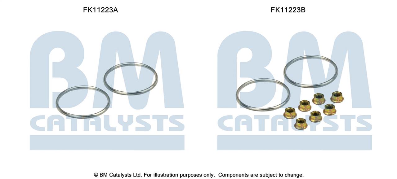 BM Catalysts FK11223 Diesel particulate filter DPF FK11223