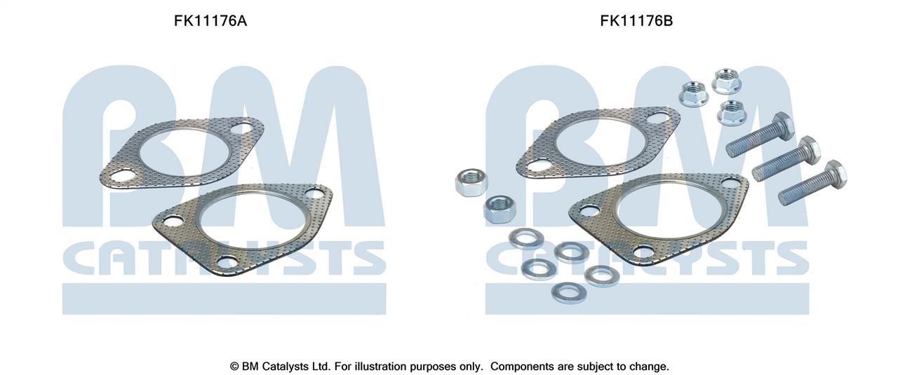 BM Catalysts FK11176 Diesel particulate filter DPF FK11176