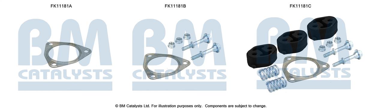 BM Catalysts FK11181 Diesel particulate filter DPF FK11181