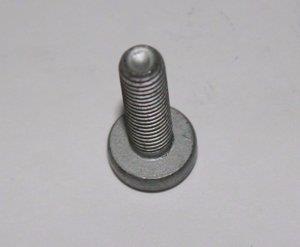 N10700201 VAG Bolt