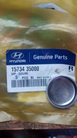 Hyundai/Kia 15734 35000 PLUG-BLIND 1573435000