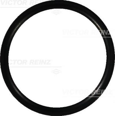 Victor Reinz 40-76690-00 Ring sealing 407669000